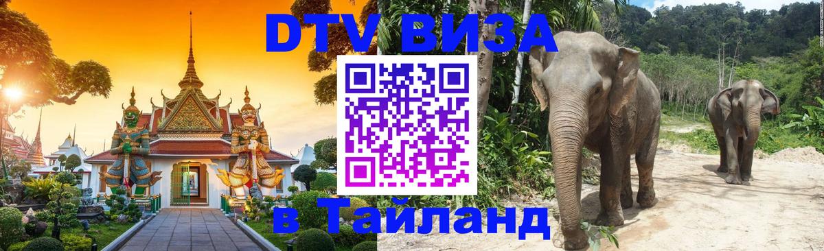 Сколько стоит DTV виза — актуальные цены, оформление даже без документов - 18.11.2025 